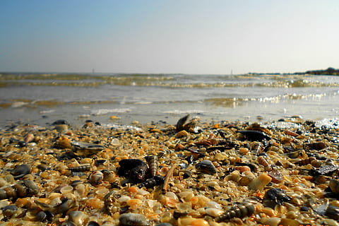 petxines, mar, platja, aigua, terra, naturalesa, cel, dia, rock, sorra, moviment, onada, horitzó, bellesa a la natura, sòlid, cap gent, horitzó sobre l’aigua, escenics - natura, cel clar, còdols, a l'aire lliure, nivell superficial, Pol · lució, 4K, CC0, domini públic, lliure de regalies