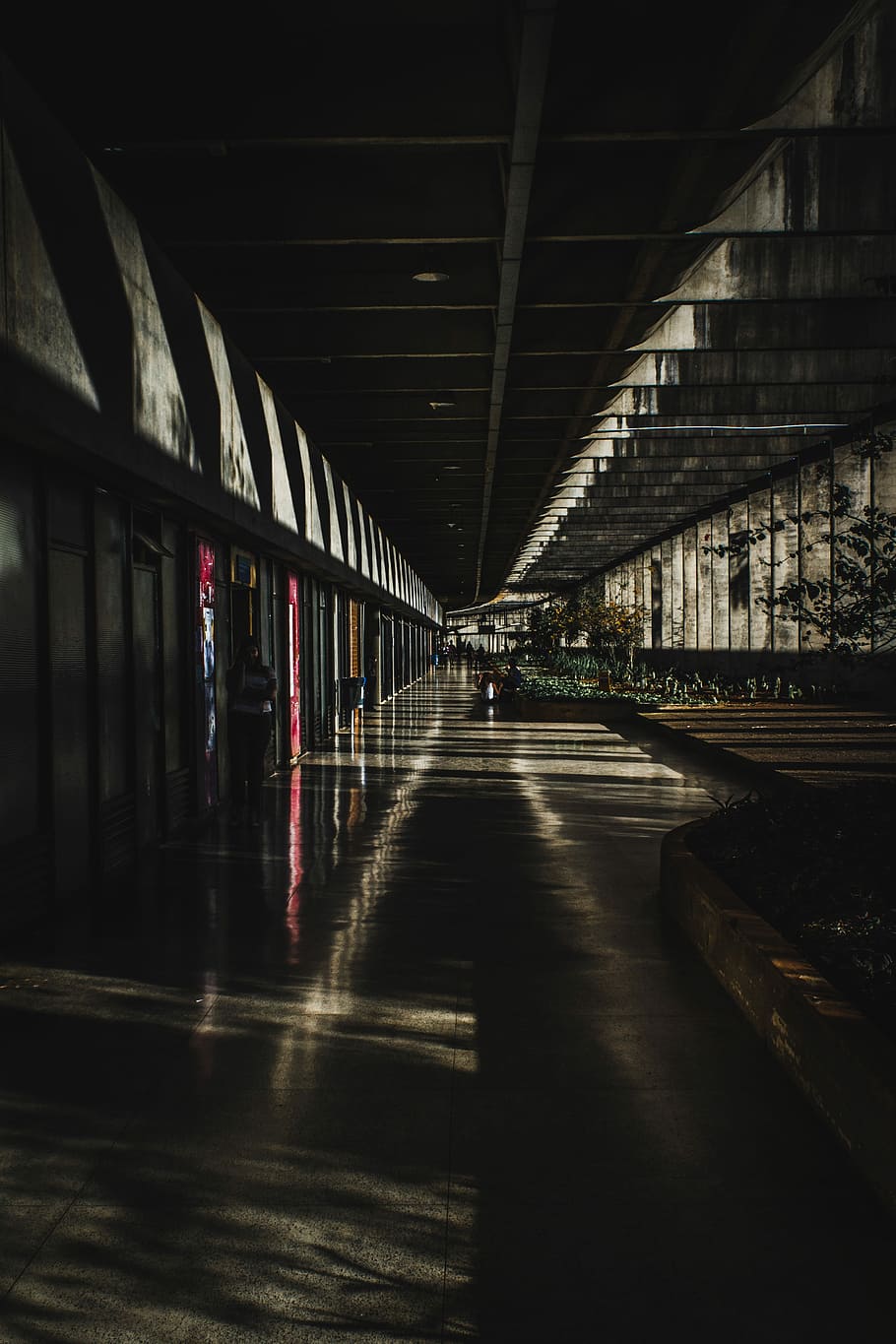 žena, stojící, cesta, šedá, budova, noc, architektura, temný, světlo, stín, Šedá, beton, dívka, chodba, město, osoba, univerzita, brasil, brasílium, Brazílie, stavba, směr, cesta vpřed, přeprava, uvnitř, most, strop, náhodné osoby, spojení, den, most - mužská konstrukce, perspektiva, Příroda, slunečního světla, architektonický sloup, veřejná doprava, 5K
