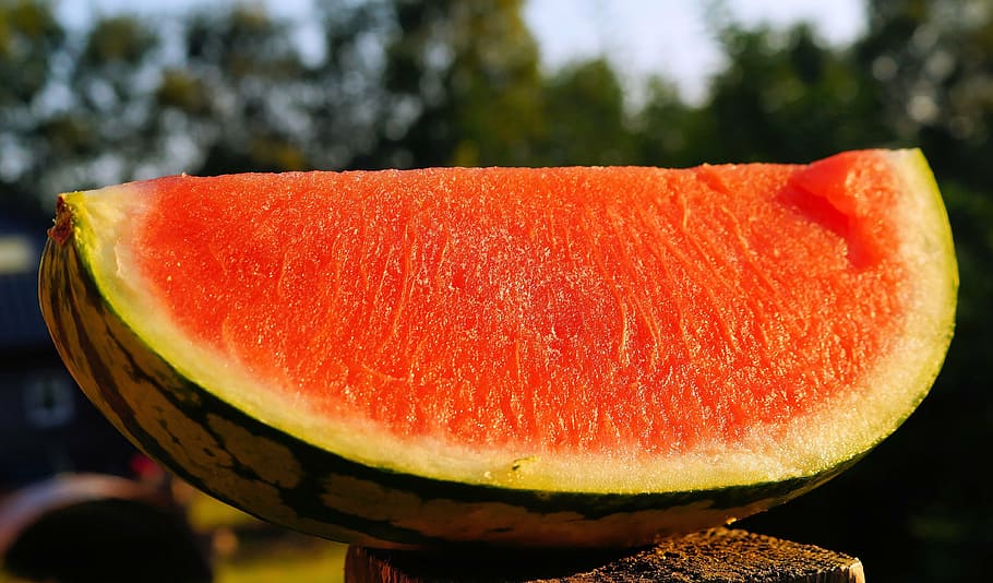 vandmelon, melon, forfriskning, lækker, sød, mad, vitaminer, mad og drikke, friskhed, tæt på, sund kost, skive, velvære, fokus på forgrunden, frugt, ingen mennesker, rød, grøntsag, dag, orange farve, enkelt objekt, udendørs, natur, sollys, moden, 4K