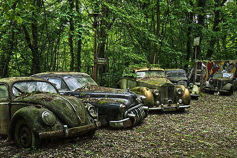 bil, parkert, ved siden av, trær, auto, bil kirkegård, oldtimer, gammel, rust, rustfritt karre, rustfritt, rusted, nostalgi, vraket, skrap, bilvrak, skrapbil, forkastet, historie, hukommelse, over, slått av, forfall, glemme, gamle biler, pensjonert, foreldet, pkw, vw biller, VW, ruller royce sølv wraith, ruller royce, bukk åtte, Buick, mercedes benz, mercedes, mercedes benz type 170 v, ifa f8, kjøretøy, tapte steder, pforphoto, gått i stykker, humør, tapt sted, forsømt, tre, anlegg, transport, motorkjøretøy, transportmiddel, dag, land kjøretøy, land, grønn farge, forlatt, vekst, skog, natur, avslå, ingen folk, løp ned, forverring, skadet, utendørs, 4K, CC0, offentlig domene, opphavsrett gratis