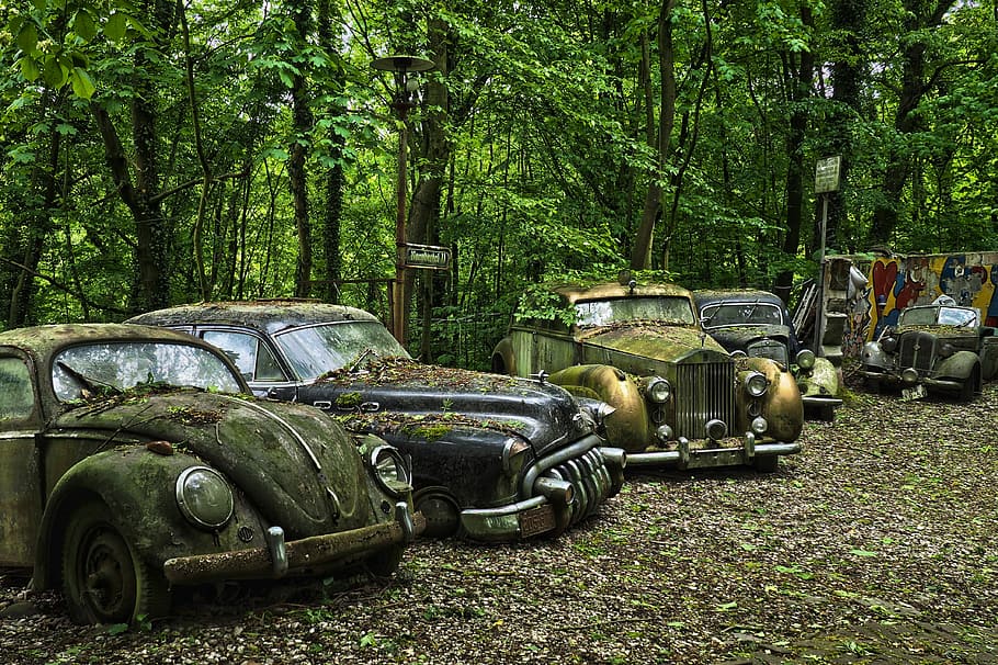 auto, parcheggiata, accanto, alberi, cimitero di auto, vecchi tempi, vecchio, ruggine, acciaio inossidabile, inossidabile, arrugginito, nostalgia, relitto, rottame, incidente d'auto, rottami di auto, scartato, storia, memoria, al di sopra di, spento, decadimento, dimenticare, vecchie macchine, pensionato, obsoleto, pkw, vw beetle, vw, involtini di royce argento, Rolls Royce, Buick otto, buick, mercedes benz, mercedes, mercedes benz tipo 170 v, ifa f8, veicolo, posti persi, pforphoto, rotto, umore, luogo perduto, trascurato, albero, pianta, mezzi di trasporto, veicolo a motore, modo di trasporto, giorno, veicolo terrestre, terra, colore verde, abbandonato, crescita, foresta, natura, declino, nessuno, corri giù, deterioramento, danneggiato, all'aperto, 4K