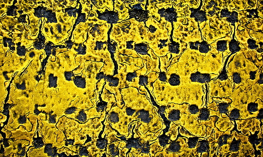 Sarı, grunge, Desen, doku, sıkıntılı, hasar, giyinmek, çürüme, buruşuk, yıpranmış, boya, aşınmış, yüzey, eski, yaşlı, dağınık, hasarlı, arka, dokulu, soyut, malzeme, kaba, bütün çerçeve, insansız, gün, kapatmak, doğa, liken, doğada güzellik, açık havada, yosun, mimari, büyüme, bolluk, yapılı yapı, duvar inşa özelliği, 5K, CC0, kamu malı, telif ücretsiz