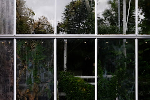 collage de arboles surtidos, de cerca, foto, ventana de vidrio, ventana, jardín, árbol, reflexión, cristal, planta, nadie, arquitectura, naturaleza, crecimiento, día, estructura construida, material de vidrio, al aire libre, transparente, bosque, exterior del edificio, edificio, color verde, ciudad, tierra, tranquilidad, marco de la ventana, 4K, CC0, dominio público, libre de derechos