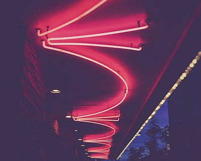 pink, lights, ceiling, dark, night, trees, rood, rood ,ceiling, light, red, low angle view, illuminated, no people, architecture, lighting equipment, built structure, neon, nature, city, outdoors, arts culture and entertainment, transportation, nightlife, sky, building exterior, road, 4K, CC0, public domain, royalty free