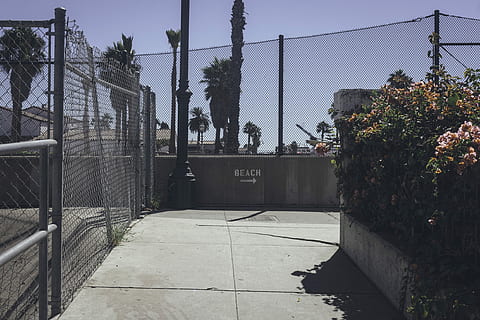 grijs, stalen cycloonomheining, fabriek, beton, weg, wit, pijl naar rechts beach signage, strand, pad, trottoir, bloem, californium, переулок, park, kust, hek, poort, palmboom, steeg, hoek, manier, architectuur, ingebouwde structuur, boom, grens, barrière, buitenkant van het gebouw, natuur, dag, zonlicht, hemel, geen mensen, stad, buitenshuis, schaduw, veiligheid, groei, gebouw, traliewerk, 4K, CC0, publiek domein, royaltyvrij