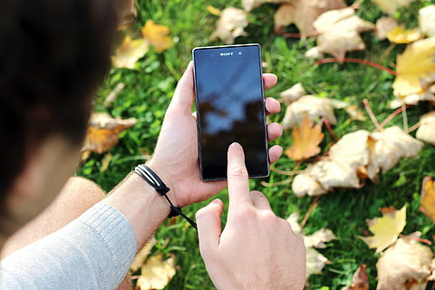 noir, sony android smartphone, sony, xperia, téléphone intelligent, main, de face, séché, érable, feuilles, Android, téléphone portable, La technologie, mains, les doigts, montrer du doigt, mobile, main humaine, partie du corps humain, en portant, en plein air, une personne, la nature, adulte, personnes, fermer, Seulment les adultes, plante, journée, doigt humain, thèmes de la photographie, doigt, Technologie sans fil, Activité de loisir, modes de vie, fleur, Vrais gens, plante à fleurs, partie du corps, 4K, CC0, domaine public, libre de droits