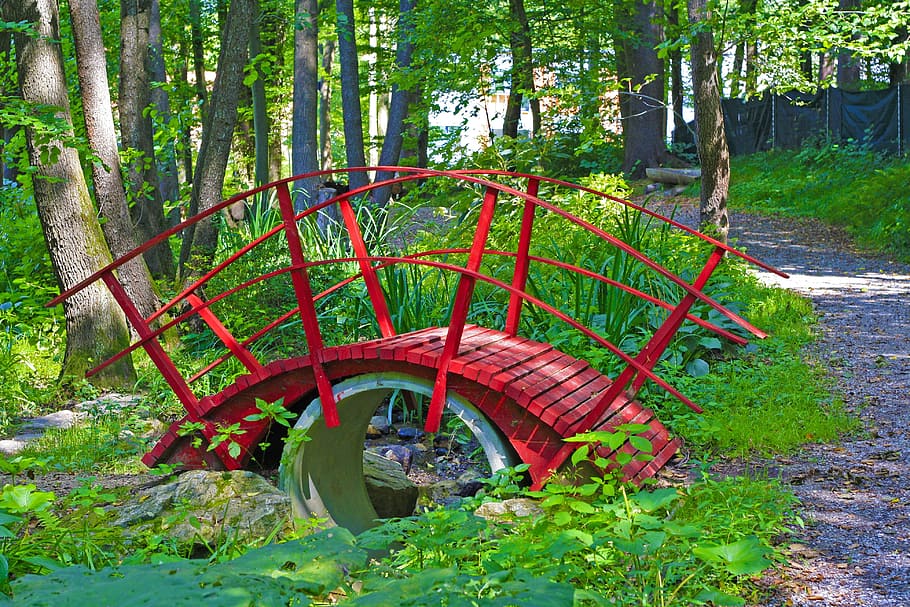 bosc, web, pont, bach, rierol, vermell, naturalesa, aigua, transició, fusta, passeig marítim, pont de fusta, aigua sense gas, conservació de la natura, a l'aire lliure, paisatge, aigua natural, hdr, arbre, dia, cap gent, roda de vagó, creixement, planta, terra, color verd, transport, tronc de l'arbre, tranquil·litat, tronc, estructura construïda, bellesa a la natura, connexió, arquitectura, parc, roda, 4K