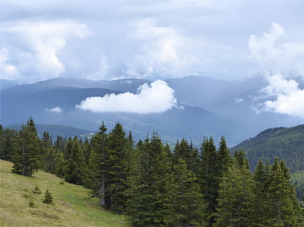 wolken, bergen, Bos, landschap, bossen, natuurlijk spektakel, humeur, boom, wolk - lucht, hemel, schoonheid in de natuur, scenics - natuur, rustige scène, fabriek, berg-, niet-stedelijke scène, kalmte, land-, dag, geen mensen, natuur, groene kleur, milieu, groei, idyllisch, buitenshuis, dennenboom, naaldboom, dennenbos, bergtop, 4K, CC0, publiek domein, royaltyvrij