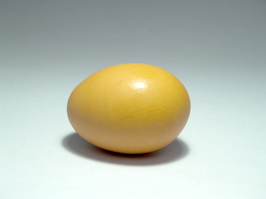 ou, rosa, mercat, closca d'ou, colesterol, rosa, mercat, menjar, agricultura, dieta, marró, groc, esmorzar, rovell, granja, aus de corral, macro, Pasqua, primer pla, color, cuina, fons, bullit, solter, detall, crua, natural, deliciós, orgànic, pollastre, oval, aliment, sense coure, fermentat, saludable, segle, nutritiu, shell, ingredient, fresc, naturalesa, proteïna, producte, animal, ous d’animals, ous, aïllat, cap gent, tir de l'estudi, sol objecte, menjar i beguda, fons de colors, a l'interior, riquesa, alimentació saludable, benestar, color daurat, brillant, tallar, luxe, gris, senzillesa, or, 2K
