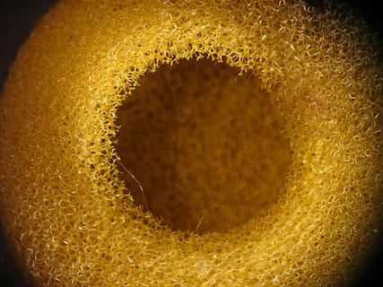 textura, esponja, disseny, patró, groc, superfície, resum, fons, primer pla, color daurat, primer pla extrem, cap gent, calor - temperatura, brillant, cercle, tir de l'estudi, naturalesa, forma geomètrica, fons negre, sol objecte, color taronja, efecte texturat, il·luminat, 2K, CC0, domini públic, lliure de regalies