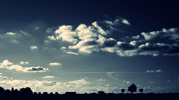 silhouette, trees, cloudy, sky, backlit, clouds, cloudscape, dark, dawn, dusk, fair weather, nature, outdoors, scenery, scenic, silhouettes, cloud - sky, beauty in nature, scenics - nature, environment, no people, landscape, storm, tranquil scene, tranquility, dramatic sky, atmosphere, overcast, meteorology, wind, climate, ominous, bright, 5K, CC0, public domain, royalty free