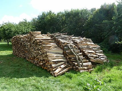 madeira, lenha, pilha, pilha de lenha, empilhado, holzstapel, estoque crescente, choque, pilha de madeira, grama, campo, árvore, ao ar livre, dia, plantar, registro, terra, floresta, natureza, madeira - material, cor verde, desmatamento, indústria madeireira, grande grupo de objetos, crescimento, ninguém, 2K, CC0, domínio público, royalty free