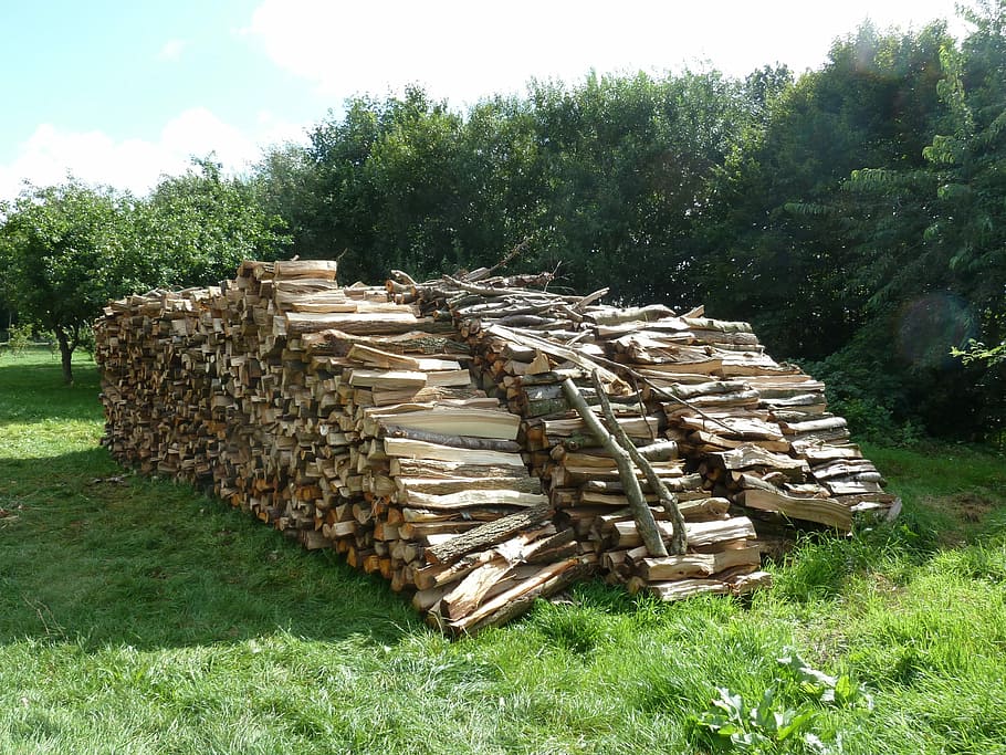 madeira, lenha, pilha, pilha de lenha, empilhado, holzstapel, estoque crescente, choque, pilha de madeira, grama, campo, árvore, ao ar livre, dia, plantar, registro, terra, floresta, natureza, madeira - material, cor verde, desmatamento, indústria madeireira, grande grupo de objetos, crescimento, ninguém, 2K