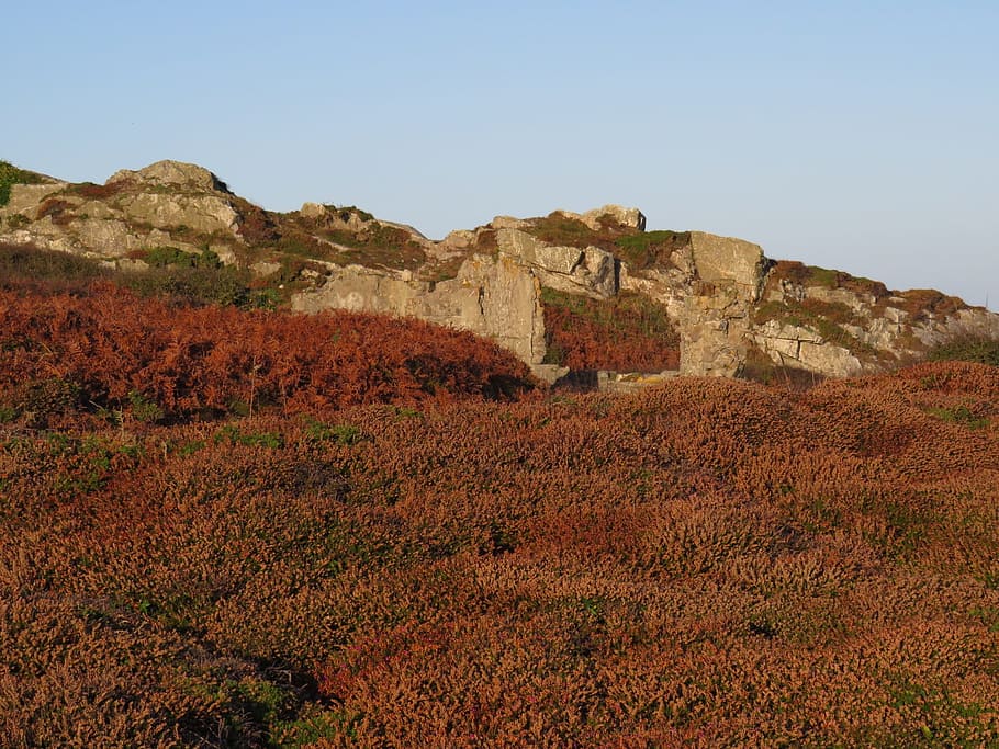 autunno, felci, vegetazione, cielo, natura, nessuno, il passato, storia, architettura, terra, montagna, cielo sereno, giorno, destinazioni di viaggio, struttura costruita, ambiente, pianta, bellezza nella natura, viaggio, scenics - natura, paesaggio, vecchia rovina, scena tranquilla, all'aperto, antica civiltà, rovinato, archeologia, 1080P