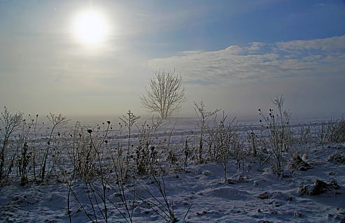 zdjęcie krajobrazu, śnieżny, pole, krajobraz, zdjęcie, Natura, niebo, na dworze, woda, jezioro, scenics, zimowy, drzewo, niebieski, spokojna scena, pora roku, śnieg, zimna temperatura, scenics - natura, piękno natury, spokój, roślina, słońce, światło słoneczne, środowisko, biały kolor, scena pozamiejska, żadnych ludzi, dzień, chmura - niebo, flara obiektywu, ośnieżona góra, 5K, CC0, domena publiczna, darmowe zdjęcia
