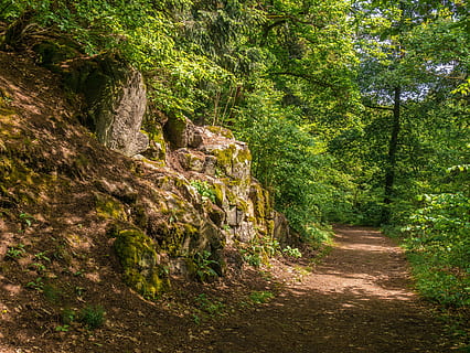 camino de tierra, tiempo de día, bosque, camino forestal, arboles, excursionismo, planta, árbol, crecimiento, tierra, belleza en la naturaleza, dirección, tranquilidad, sendero, naturaleza, el camino a seguir, color verde, escena tranquila, nadie, rock, día, sólido, escena no urbana, paisajes - naturaleza, roca - objeto, al aire libre, 4K, CC0, dominio público, libre de derechos