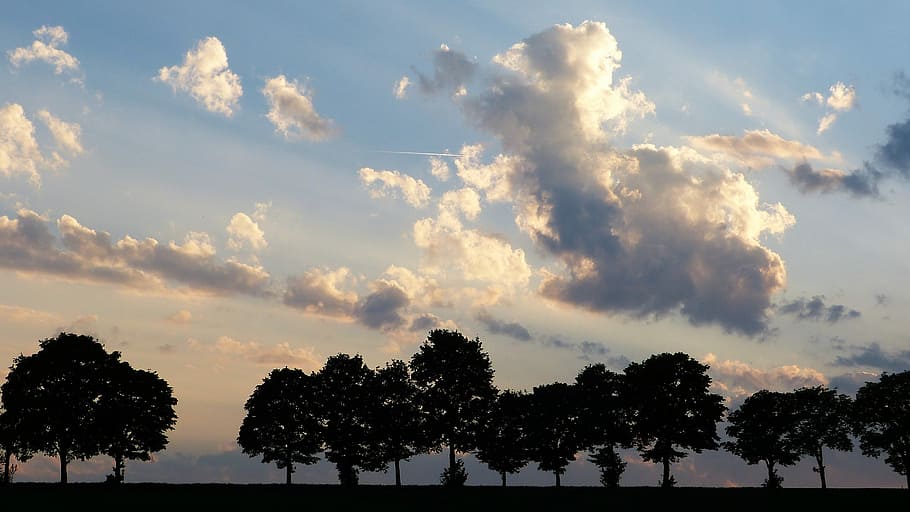 arbres, camp de gespa, blau, cel, avinguda, crepuscle, núvols, lluny, naturalesa, humor, posta de sol, comiat, dol, morir, Et trobo a faltar, trauerkarte, targeta de felicitació, condol, perdut, junts, fe, esperança, arbre, planta, núvol - cel, bellesa a la natura, tranquil·litat, escenics - natura, escena tranquil·la, silueta, creixement, cap gent, medi ambient, a l'aire lliure, paisatge, idíl·lic, terra, color taronja, 2K