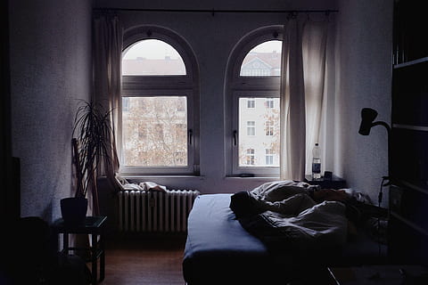 Brun, træ-, bogreol, væg, seng, ark, tæppe, værelse, indre, plante, vindue, glas, lampe, indendørs, møbel, hjemlige værelse, sæde, arkitektur, hjem interiør, dag, stol, ingen mennesker, fravær, bygget struktur, gardin, sofa, bord, bue, pude, bygning, dør, 4K, CC0, offentligt domæne, royaltyfrie