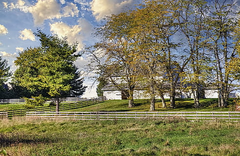 graner, rústic, graners, ohio, art digital, rural, escènic, país, camp, paisatge, cobert, coberts, granja, granges, agricultura, agrícola, Masia, campanar, comtat, americana, foto, fotografia, estructura, estructures, sturgell, William Sturgell, factura sturgell, històric, decoració de la llar, edificis, núvols, cel, arbre, arbres, ennuvolat, cels, males herbes, comtat del campanar, urbana, planta, terra, bellesa a la natura, creixement, tranquil·litat, naturalesa, dia, escena tranquil·la, núvol - cel, cap gent, herba, escenics - natura, medi ambient, color verd, a l'aire lliure, llum solar, 5K, CC0, domini públic, lliure de regalies
