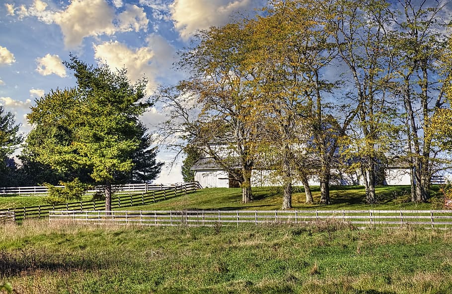 graner, rústic, graners, ohio, art digital, rural, escènic, país, camp, paisatge, cobert, coberts, granja, granges, agricultura, agrícola, Masia, campanar, comtat, americana, foto, fotografia, estructura, estructures, sturgell, William Sturgell, factura sturgell, històric, decoració de la llar, edificis, núvols, cel, arbre, arbres, ennuvolat, cels, males herbes, comtat del campanar, urbana, planta, terra, bellesa a la natura, creixement, tranquil·litat, naturalesa, dia, escena tranquil·la, núvol - cel, cap gent, herba, escenics - natura, medi ambient, color verd, a l'aire lliure, llum solar, 5K