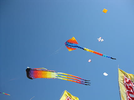 cometes, volant, vent, jugant, asiàtic, xinès, cel, cometa - joguina, blau, vista d’angle baix, cel clar, naturalesa, multicolor, medi ambient, cap gent, dia, assolellat, còpia espai, a l'aire lliure, diversió, bandera, moviment, celebració, cultura i entreteniment artístic, 2K, CC0, domini públic, lliure de regalies