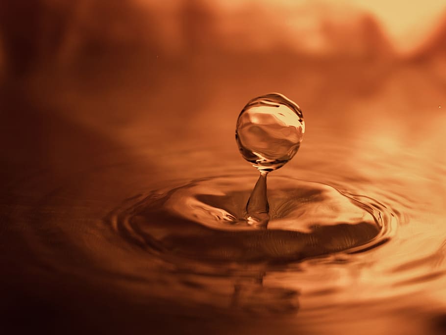 tret macro, gota d'aigua, tirar, aigua, impacte, experimentar, splash, color, humit, líquid, naturalesa, esquitxades, reflexió, primer pla, frescor, ondulat, moviment, enfocament selectiu, cap gent, davant del mar, esquitxades de gotes, caient, transparent, a l'interior, puresa, fotografia d'alta velocitat, color taronja, 1080P