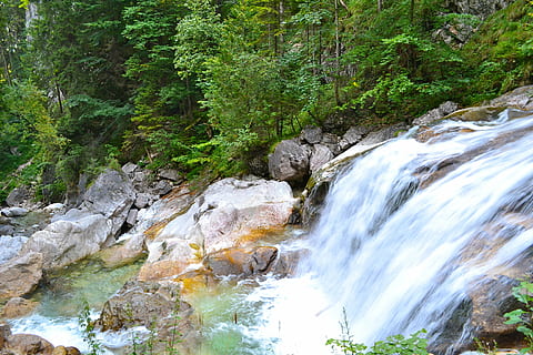waterfall, surrounded, tall, trees, river, water, bubble, nature, forest, stream, tree, outdoors, scenics, landscape, rock - Object, freshness, mountain, green Color, flowing water, motion, plant, scenics - nature, beauty in nature, long exposure, blurred motion, rock, solid, flowing, environment, land, power, power in nature, no people, falling water, 4K, CC0, public domain, royalty free