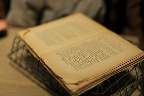 selective, focus photography, opened, book, old, pages, sheets, letters, novel, brown, print, religion, christianity, bible, spirituality, reading, praying, selective focus, indoors, paper, people, focus on foreground, business, box, close-up, container, box - container, communication, text, publication, activity, domestic room, 5K, CC0, public domain, royalty free