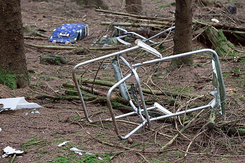 hvid træstand, forurening, affald, Skov, miljø, miljøbeskyttelse, natur, plast, udbryder, uansvarlig, smidt væk, plastikpose, Liège, aluminium, smuds, snavset, træer, plante, træ, jord, ingen mennesker, dag, Mark, udendørs, høj vinkel visning, afdeling, papir, fokus på forgrunden, sæde, bagagerum, træstamme, metal, forladt, 4K, CC0, offentligt domæne, royaltyfrie