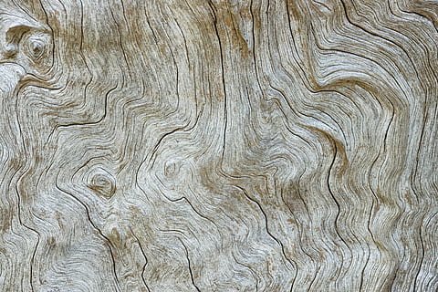 superfície do tronco de árvore, sem título, madeira, grão, linhas, padronizar, árvore, caminhão, jardim, fibra, estrutura, origens, texturizado, grão de madeira, ninguém, madeira - material, fechar-se, quadro completo, padrão natural, madeira atada, natureza, Castanho, ao ar livre, prancha, dia, pavimento, abstrato, tronco de árvore, Pinheiro, ornamentado, Pinhal, efeito texturizado, 5K, CC0, domínio público, royalty free