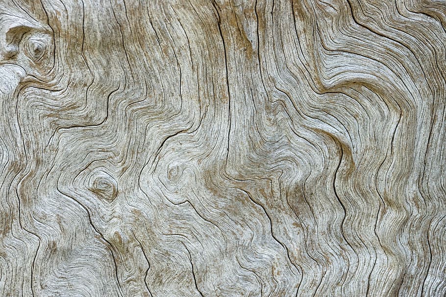 superfície do tronco de árvore, sem título, madeira, grão, linhas, padronizar, árvore, caminhão, jardim, fibra, estrutura, origens, texturizado, grão de madeira, ninguém, madeira - material, fechar-se, quadro completo, padrão natural, madeira atada, natureza, Castanho, ao ar livre, prancha, dia, pavimento, abstrato, tronco de árvore, Pinheiro, ornamentado, Pinhal, efeito texturizado, 5K