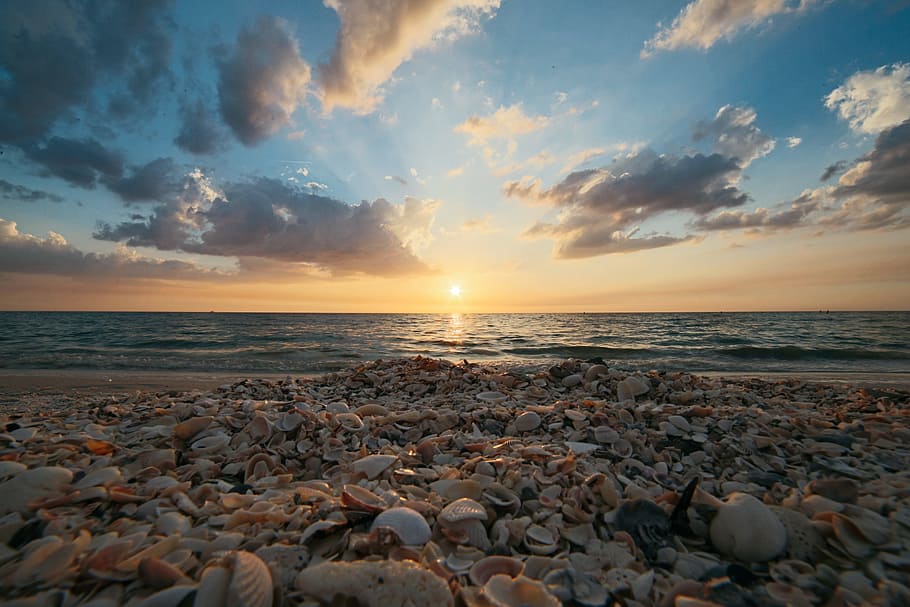 mare, natura, cielo, spiaggia, acque calme, nuvole, crepuscolo, orizzonte, oceano, all'aperto, sabbia, conchiglie di mare, paesaggio marino, conchiglia, conchiglie, riva del mare, sole, Alba, tramonto, acqua, orizzonte sull'acqua, terra, scenics - natura, bellezza nella natura, scena tranquilla, nuvola - cielo, la tranquillità, roccia, solido, roccia - oggetto, idilliaco, nessuno, ciottolo, livello di superficie, 5K