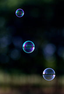 bubbles, soap, coloring, balloons, bubble, vulnerability, soap sud, fragility, nature, sphere, mid-air, multi colored, focus on foreground, transparent, flying, no people, geometric shape, reflection, outdoors, shape, day, bubble wand, circle, beauty in nature, lightweight, purple, eclipse, 2K, CC0, public domain, royalty free