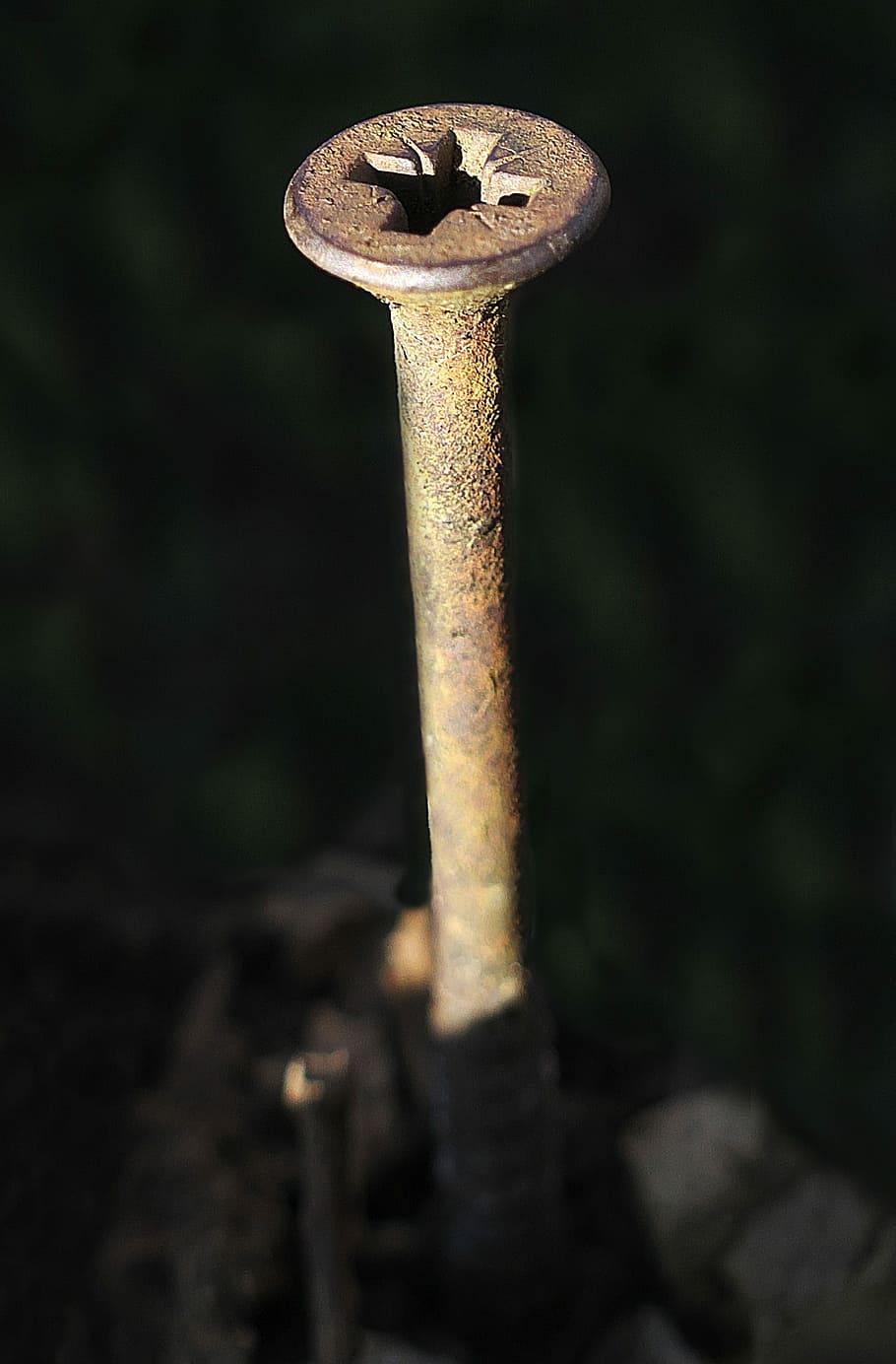 cargol, resistent, fusta, tancar, llum lateral, rovellat, brut, metall, primer pla, vell, cap gent, dia, centrar-se en primer pla, declivi, deteriorament, naturalesa, força, material de fusta, aixafar, mal estat, a l'aire lliure, llum solar, terra, obsoleta, 1080P