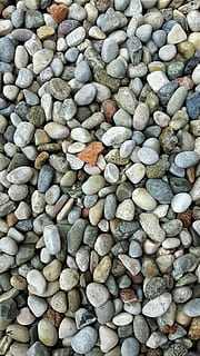 Sassi, Fossilien, Felsen, Kieselstein, Vollbild, Natur, große gruppe von gegenständen, Strand, Fülle, Hintergründe, Stein - Objekt, solide, Rock, Tag, Stein, keine Leute, texturiert, High Angle View, Land, direkt darüber, draußen, Nahansicht, Muster, 4K, CC0, gemeinfrei, lizenzfrei