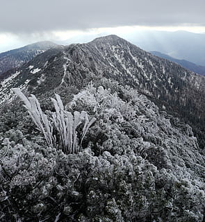 Eslovàquia, núvols, llum, muntanyes, fatra, país, neu, muntanya, geologia, Serra, naturalesa, cim de muntanya, escenics, bellesa a la natura, escenics - natura, cel, planta, escena tranquil·la, tranquil·litat, escena no urbana, cap gent, medi ambient, arbre, dia, núvol - cel, paisatge, remot, idíl·lic, geografia física, a l'aire lliure, 2K, CC0, domini públic, lliure de regalies