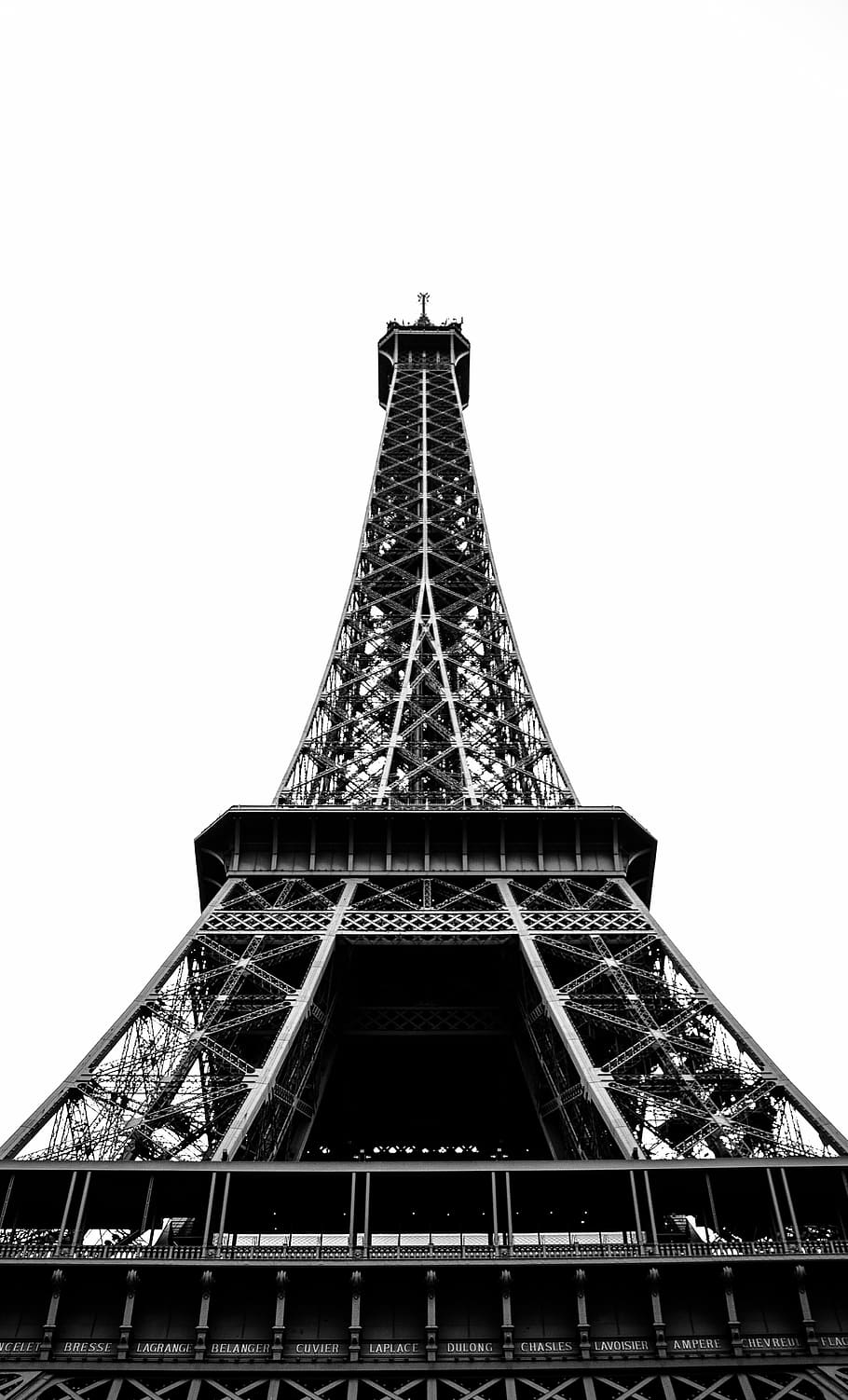 verme, vista dell'occhio, architettura, costruzione, infrastruttura, eiffel, Torre, punto di riferimento, bianco e nero, grattacielo, Francia, Parigi, Francia, Torre Eiffel, posto famoso, alto - alto, acciaio, cultura francese, struttura costruita, Inquadratura dal basso, cielo, metallo, turismo, il passato, destinazioni di viaggio, storia, nessuno, cielo sereno, città, viaggio, natura, giorno, esterno dell'edificio, caratteristica architettonica, all'aperto, ferro, 5K