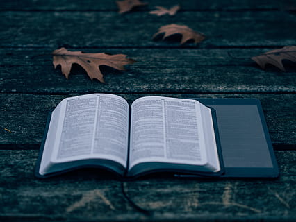llibre, lectura, ipad, tauleta, tecnologia, fusta, fulles, a l'aire lliure, publicació, obert, gent, educació, paper, primer pla, religió, dia, taula, full, enfocament selectiu, pàgina, espiritualitat, a l'interior, part de la planta, activitat d'oci, estudiar, 4K, CC0, domini públic, lliure de regalies