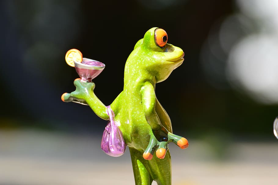 granota, pollet, senyora, arrogant, còctel, divertit, animal, amfibi, vida salvatge, naturalesa, color verd, primer pla, centrar-se en primer pla, cap gent, menjar i beguda, planta, frescor, menjar, flor, planta amb flors, representació, temes d'animals, representació animal, a l'aire lliure, ocell, bellesa a la natura, joguina, alimentació saludable, 4K