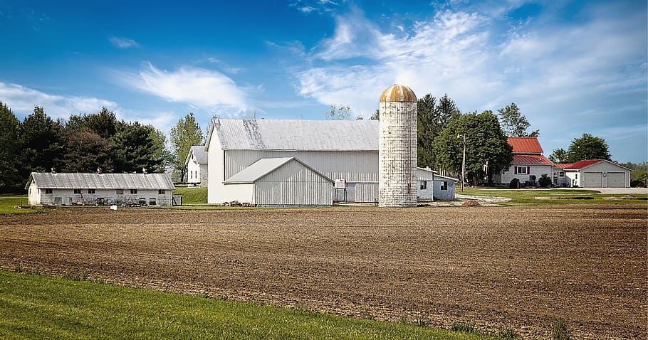 graner, rústic, graners, ohio, art digital, rural, escènic, país, camp, paisatge, cobert, coberts, granja, granges, agricultura, agrícola, Masia, campanar, comtat, americana, foto, fotografia, estructura, estructures, sturgell, William Sturgell, factura sturgell, històric, decoració de la llar, edificis, núvols, cel, arbre, arbres, ennuvolat, cels, males herbes, comtat del campanar, urbana, estructura construïda, arquitectura, exterior de l'edifici, edifici, planta, núvol - cel, lloc de culte, religió, blau, naturalesa, casa, escena rural, cap gent, herba, creença, a l'aire lliure, 5K