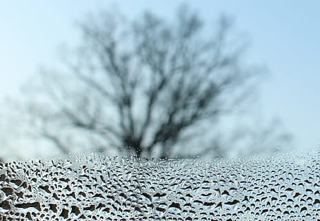 rosada d’aigua, vidre, panell, finestra, vista, hivern, gener, arbres nus, naturalesa, fred, gotes d'aigua, liquat, planta, cap gent, primer pla, fons, temperatura de fred, bellesa a la natura, arbre, Color blanc, textura, enfocament selectiu, defocated, a l'aire lliure, primer pla extrem, aigua, neu, gel, dia, suavitat, efecte texturat, 1080P, CC0, domini públic, lliure de regalies