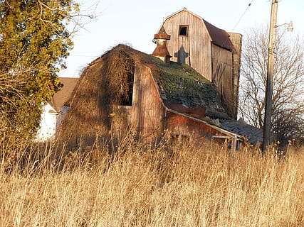 hambar, vechi, dărăpănat, rustic, erodate, abandonat, lemn, de lemn, fermă, gol, mediu rural, istoric, exterior, rural, uitat, casă, exteriorul clădirii, construită, clădire rezidențială, copac, lemn - material, arhitectură, plantă, clădire, natură, camp, teren, cer, zi, nici o persoana, în aer liber, iarbă, peisaj, arbore gol, 2K, CC0, domeniu public, fără drepturi de autor