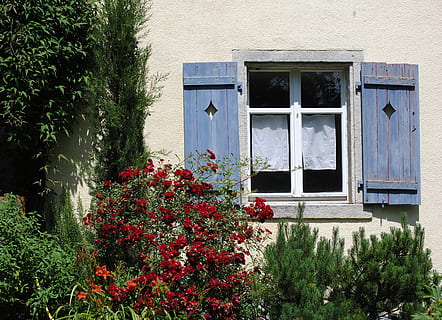 window, shutter, garden, old, rose bush, plant, built structure, building exterior, architecture, flower, flowering plant, building, nature, growth, day, house, no people, residential district, outdoors, sunlight, door, entrance, red, wall - building feature, window frame, 2K, CC0, public domain, royalty free