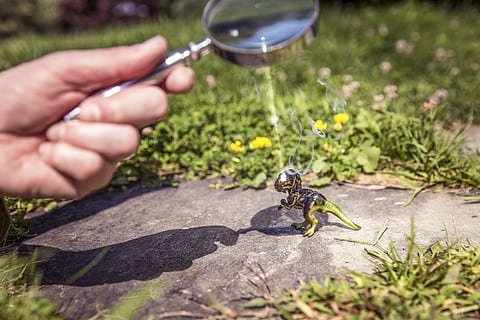 person, holding, magnifying, glass, whimsical, objects, lazy, dinosaur, hand, reflect, sunlight, outdoors, selective, focus, toy, burn, fire, smoke, destruction, devious, beam, summer, nature, magnifying Glass, green Color, human Hand, close-up, insect, grass, human body part, one person, one man only, plant, animal wildlife, day, one animal, focus on foreground, animals in the wild, growth, selective focus, gardening, 5K