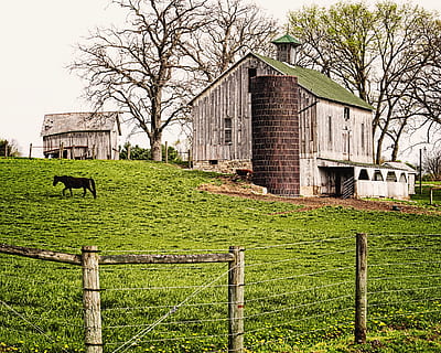 lade, rustik, staldene, ohio, digital kunst, landdistrikterne, naturskøn, Land, landskabet, landskab, skur, skure, gård, gårde, landbrug, landbrugs, stuehus, Champaign, region, americana, Foto, fotografi, struktur, strukturer, sturgell, william sturgell, bill sturgell, historisk, hjem indretning, bygninger, skyer, himmel, træ, træer, overskyet, ukrudt, champaign county, Urbana, arkitektur, bygning udvendig, bygget struktur, plante, bygning, hegn, grænse, barriere, græs, bare træ, ingen mennesker, hus, dag, natur, Mark, grøn farve, afdeling, udendørs, træ - materiale, 4K, CC0, offentligt domæne, royaltyfrie