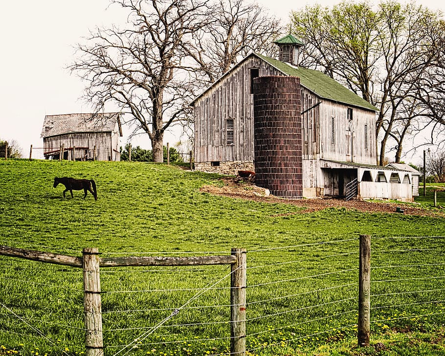 graner, rústic, graners, ohio, art digital, rural, escènic, país, camp, paisatge, cobert, coberts, granja, granges, agricultura, agrícola, Masia, campanar, comtat, americana, foto, fotografia, estructura, estructures, sturgell, William Sturgell, factura sturgell, històric, decoració de la llar, edificis, núvols, cel, arbre, arbres, ennuvolat, cels, males herbes, comtat del campanar, urbana, arquitectura, exterior de l'edifici, estructura construïda, planta, edifici, tanca, límit, barrera, herba, arbre nu, cap gent, casa, dia, naturalesa, color verd, branca, a l'aire lliure, material de fusta, 4K