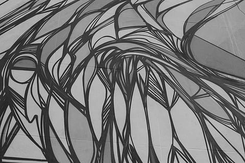 vectorització, forma, disseny, decoració, modern, geomètric, conjunt, simetria, cap gent, patró, primer pla, marc complet, creixement, dia, naturalesa, fons, metall, resum, a l'interior, Palmera, art i artesania, natura morta, vista d’angle baix, planta, centrar-se en primer pla, fulla de palma, 5K, CC0, domini públic, lliure de regalies