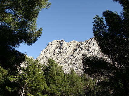hora, Pohled, vrchol, borovice, nebe, slunný, Studený, Příroda, krajina, panoráma, túra, scenérie, útes, les, ráno, venkovní, velebit, paklenica, chorvatsko, strom, rostlina, nízký úhel pohledu, krása v přírodě, čisté nebe, klid, nikdo, klidné scény, růst, den, Skála, scenics - příroda, slunečního světla, modrý, venku, přistát, jehličnatého stromu, formace, přímo pod, horský vrchol, 2K, CC0, veřejná doména, bez autorských práv