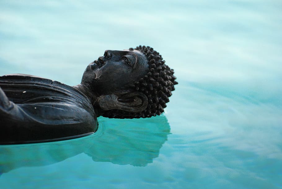 foto, gautama buda, cos, aigua, Buda, zen, reflexió, brillantor, aura, pau, meditació, ioga, estàtua, imatge, budisme, espiritual, talla, oriental, deïtat, budista, monjo, retallada, religió, figureta, riu, mar, flotar, felicitat, oceà, llac, animal, vida salvatge, naturalesa, temes d'animals, fauna animal, animals a la natura, un animal, sota l'aigua, nedar, mamífer, part del cos dels animals, rèptil, cap gent, vertebrats, cap d’animals, tortuga, primer pla, mamífer aquàtic, a l'aire lliure, marí, 2K