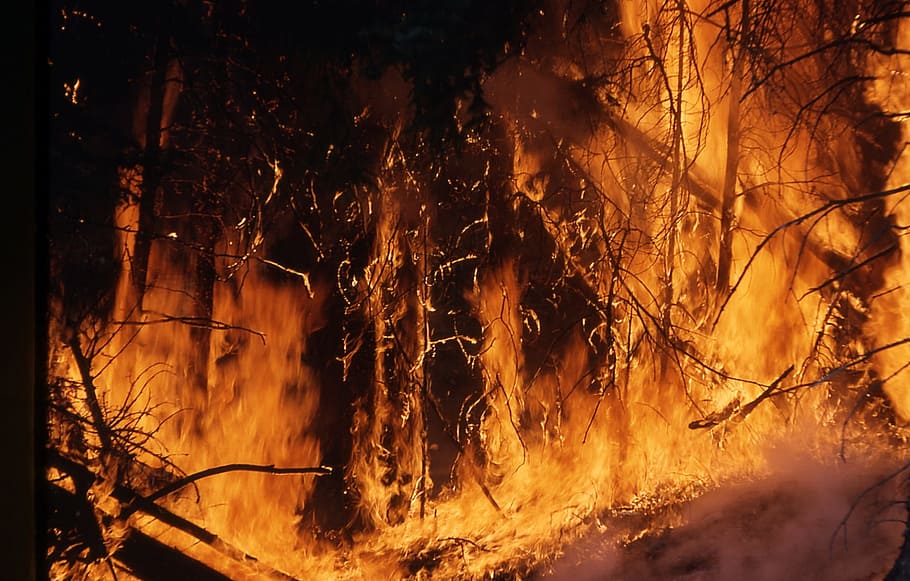 marró, negre, digital, fons de pantalla, incendis forestals, foc, flames, calenta, cremant, calor, perillós, ardent, desert, bosc, fum, cremada prescrita, raspall, controlat, flama, foc - fenomen natural, calor - temperatura, arbre, accidents i desastres, naturalesa, destrucció, incendi forestal, qüestions ambientals, fum - estructura física, signe, terra, senyal d'advertència, danys ambientals, comunicació, color taronja, cap gent, a l'aire lliure, contaminació de l'aire, Pol · lució, 1080P